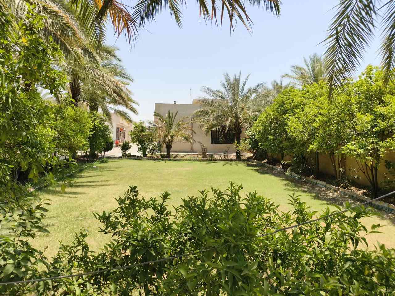 اللهم صل على محمد وآل محمد  
السلام عليكم
للبيع 1 دونم مساحة 2500 طابو زراعي سند 25 مكون من 5 بيوت 🏠  كل بيت مساحة البناء 150م مجهز من كلشي بناء طابوق مع حديقة 🏡 واسعة ونخيل 🌴وكراج سيارات 🚗
عنوان واسط الصويرة الشاملة قرب محطة شرق البصرة يقع الدونم على شارع العام للاستفسار على الأرقام /***********
‏‪***********‬‏
