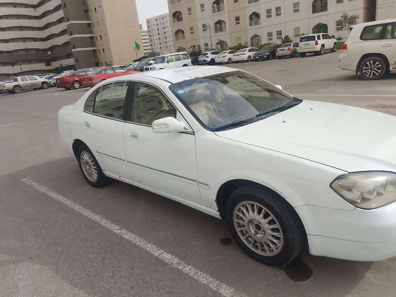 شيري استر • ٢٠١٢ • رقم بغداد