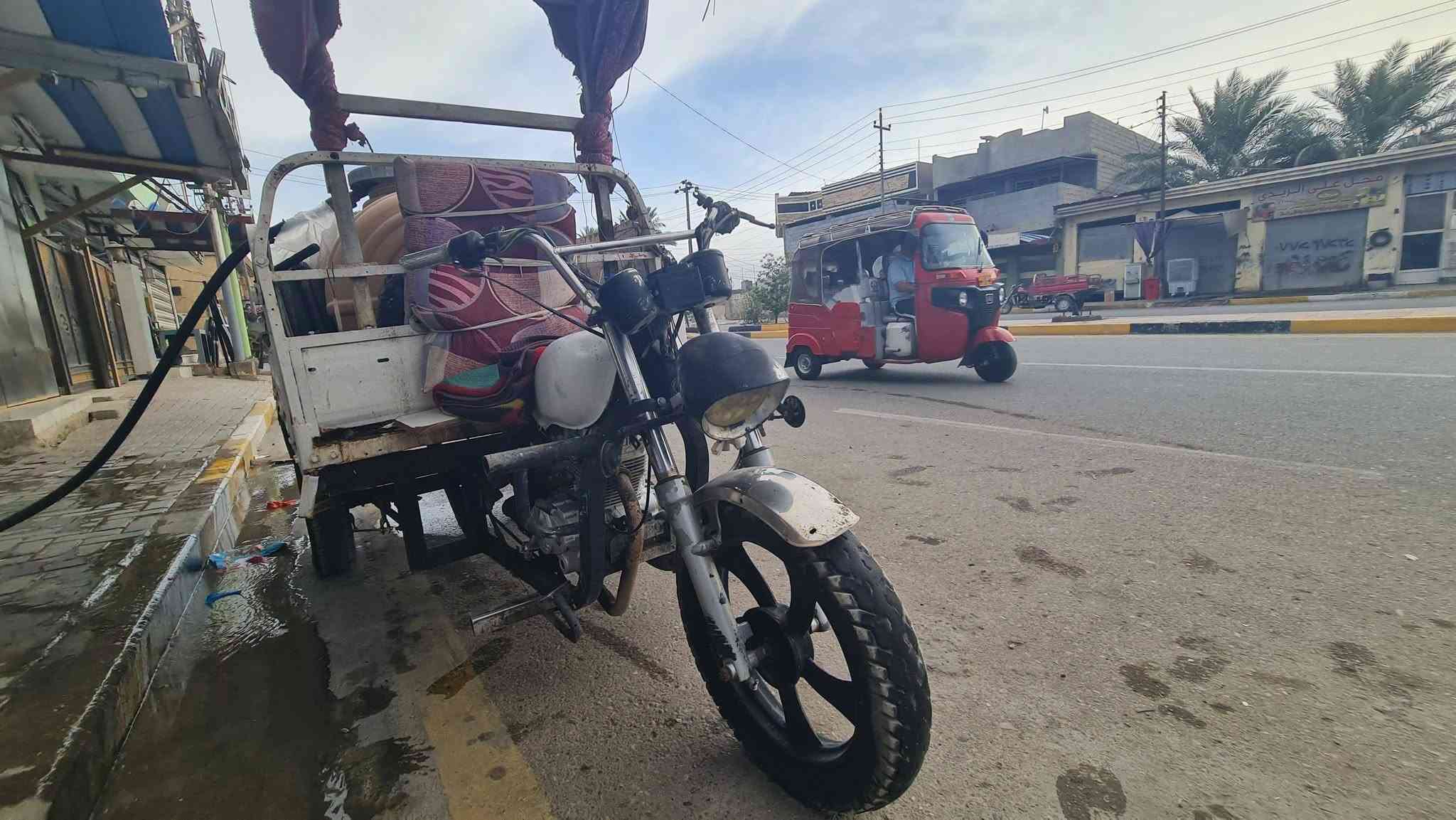 ستوته ام طير • محرك ٢٠٢٤ • بدون اوراق