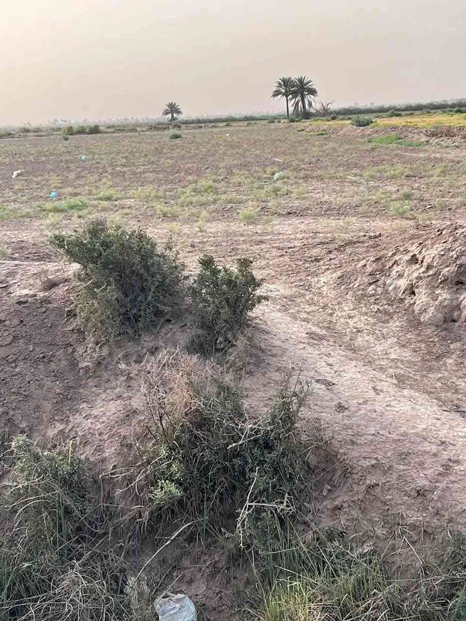 السلام عليكم ورحمة الله وبركاته
ارض زراعيه للبيع المساحة4دونم طابو سند ٢٥
تحويل مباشر الارض وجه الارض60م
تتوفر جميع الخدمات إسالة كهرباء مدارس ماء سقي
المكان الصويره  سعر الدونم
16مليون وبيها مجال نشالله  الارض تباع  دونم فما فوق للاستفسار اكثر الاتصال ***********
