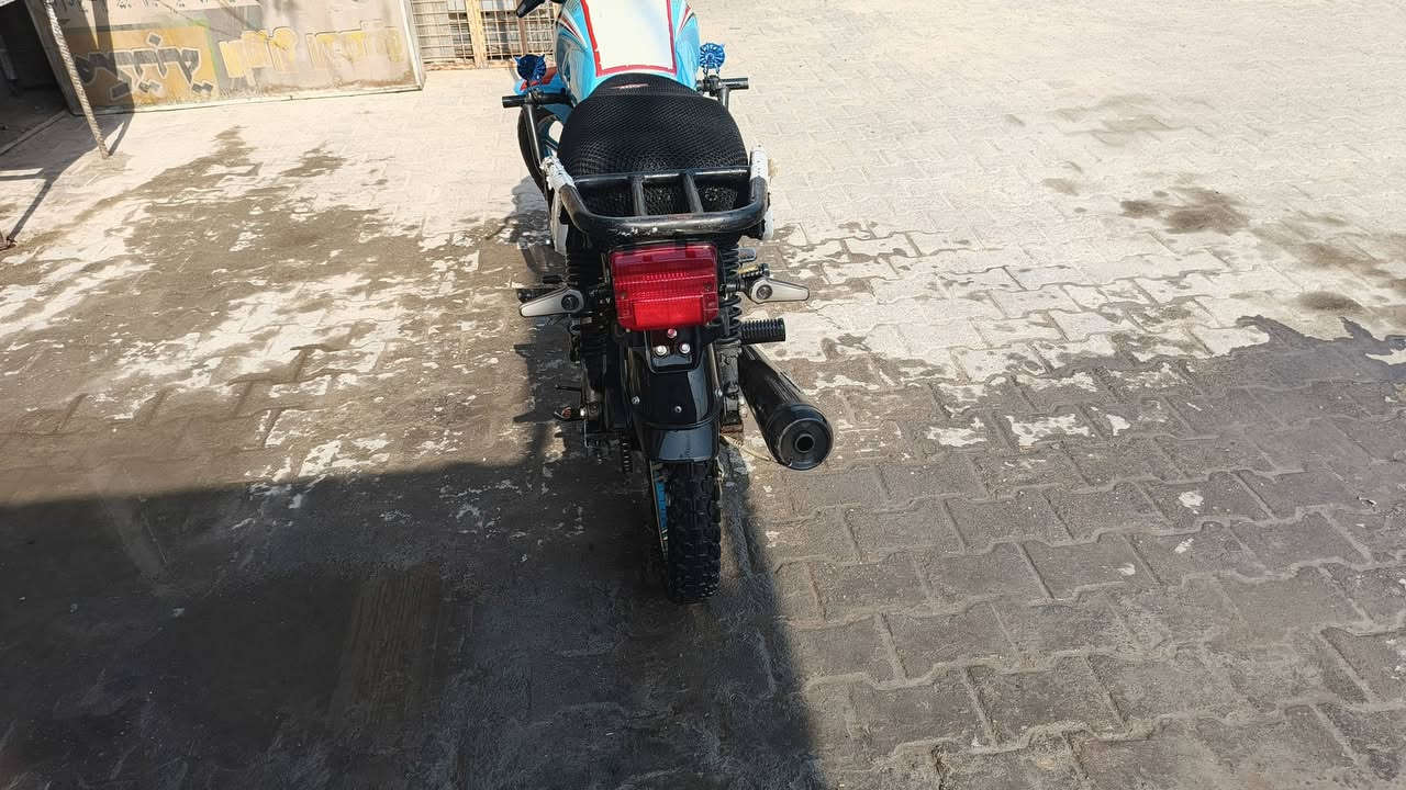 شاينك • ٢٠٢٣ • مكفولة