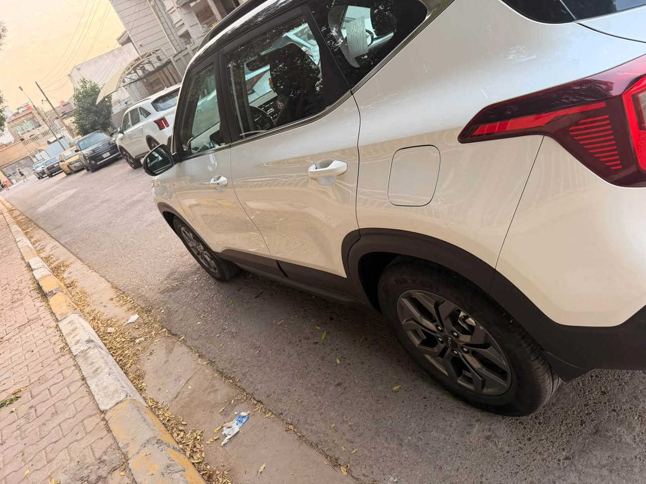 سيليتوز • ٢٠٢٥ • رقم بغداد