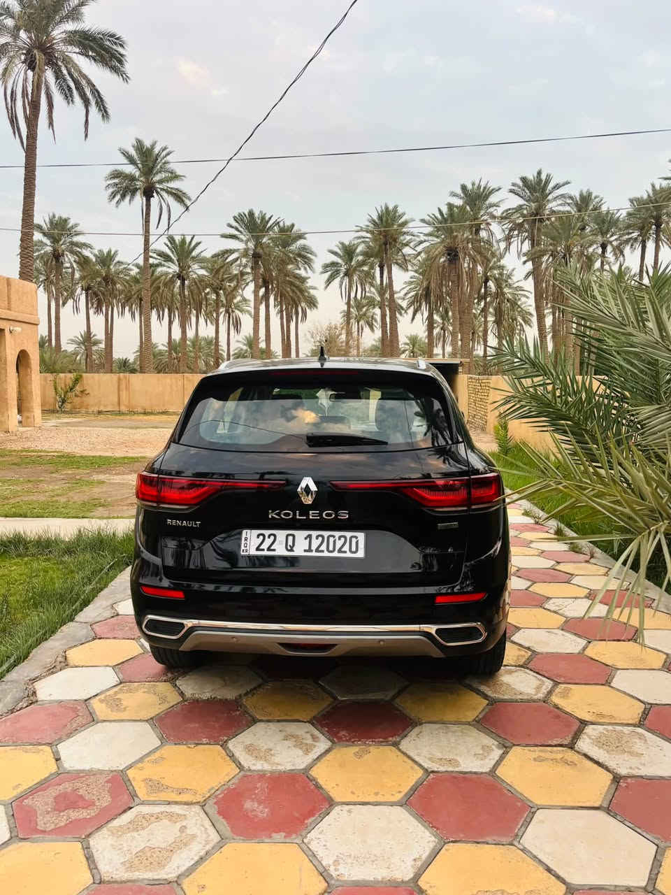 رينو كوليوس • ٢٠٢٤ • ٢٩ الف