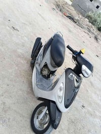 ماكس • منغولي