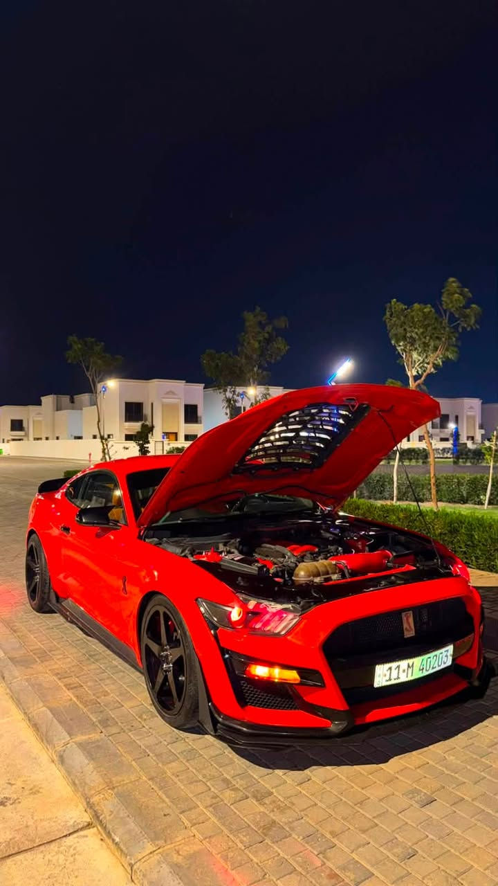 موستنك gt 2016
المواصفات 
فجوج ٦ بستم
دشبول ٧ الوان
شاشه جبيره سنك 3
كشنات جلد

 تراك بكج  2 

كير عادي

٤ قطع صبغ  بدون دواخل 
الملاعيب

 قبل لا اذكر تفاصيل السياره ترهم دوس وترهم استخدام يومي
هدرز bbk لونك 

عليها عربانه خلفيه تخفيف

شوته jlt

اكزوز روش اصلي 

داون بايب دبل اكس بايب

بوابات علي الوادي تحكم  دفن

وياله شكل ريس ستار من امريكا اصليات تو سايز

جهاز  لهب 
 
بكلايت اوربي اصلي

ستريت بار

نوزلات الف 

دركه  فورجد كاربون الياف  

اوركال متغير بالايت الامامي

 منضومه زنون

 جنح خلفي ماك
لدات جانبيه ابيض 
لدات خلفيه ابيض
دفيوزر شيلبي
 دواخل المكينه كلها مختمه كفرات روش 
داخل ابوابً ودشبول الوان

 دواخل كاربون جلاتين
برمجه البطل ضرغام

السياره كلش مصروف  عليها ونضيفه لتقارنها بالمهجومات 
 رقم مميز هزه جديده مداور ثاني يوم 
غرامات مصفره
كير مكينه  كفاله كلج كارتون
اي استفسار اتصال او واتساب 
سعرها مناسب بالنسبه الخواتها
***********

