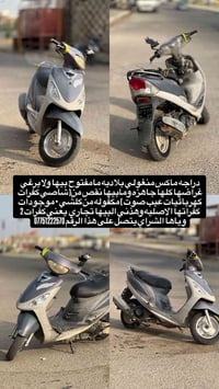 ماكس منغولي • بلاديه • مكفوله