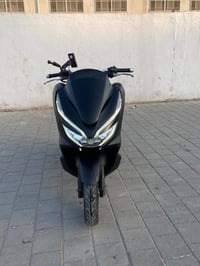 بي سي اکس جيل 3 • وارد كوري • اوراق كامله