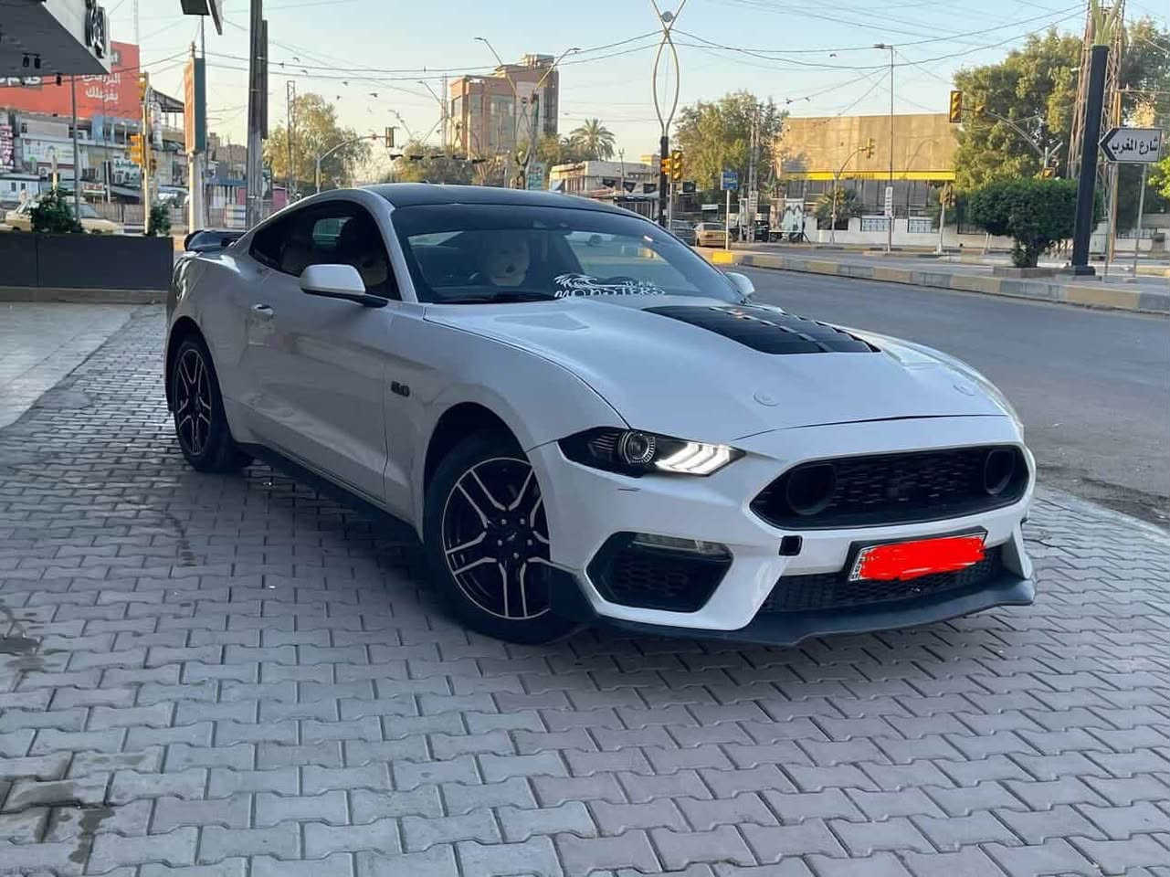 موستنك 2021 ايكو بوست
فول للاخير عدا دجتل 

بيهة عطاس وكاج كان و شوته  و دركة كاربون وبكلايتات سموك 

ماشيه 65 ميل 

حادثهة موضح بالصور 

سعر 133
***********
