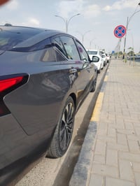 التيما • ٢٠١٩ • وارد امريكي
