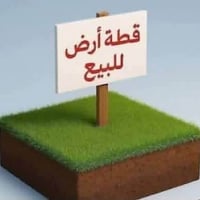 جلولاء ديالى • توزيع الشهداء • ٣٠٠م