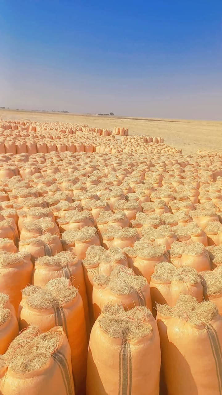السلام عليكم. يوجد تبن للبيع مال السنه. متوفر جميع القياسات. الأسعار مناسبه جداً اتصل ودلل *********** /يوجد توصيل لجميع المحافظات
