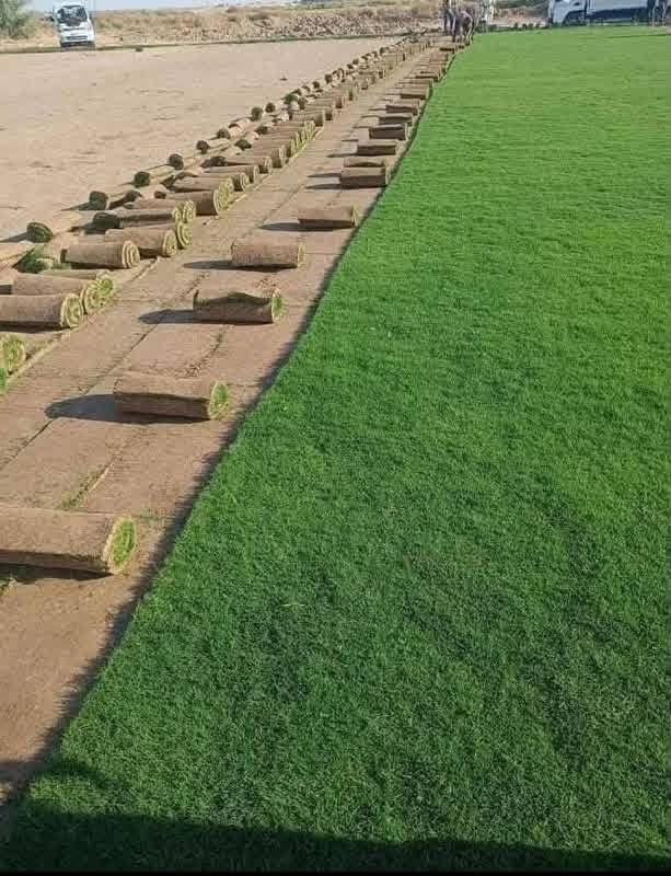 باسعار ثيل ديالى الطبيعي 🏡
أهلاً بكم في مجموعه مزارع ديالى لثيل الهندي الطبيعي 🌿🌱
 نقدم لكم افضل انوع الثيل الطبيعي عالي الجوده يتحمل كافه الضروف البيئية.🌦️🌞
دائم الخضرة🌿🌳 وباسعار تنافسيه وعروض مميزة ☘️❤️
#مستعدون لتجهيز وفرش الحدائق🏡 ودوائر الدولة🏡والمنازل🏡🏡
و تجهيز الملاعب🏟️ والمنتزهات بانسب الاسعار مع ضمان الجودة العالية في العمل👷👷

مع خدمة التوصيل خلال24ساعه🚛🚛  
الاسعار 💵💸 تختلف حسب الكمية 
للاستفسار الاتصال على : 
او التواصل مع الصفحه عن طريق ارسال رسالة على الوتساب او الاتصال📞‏***********
