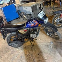 بوكسر • فحل • ٢٠٢١