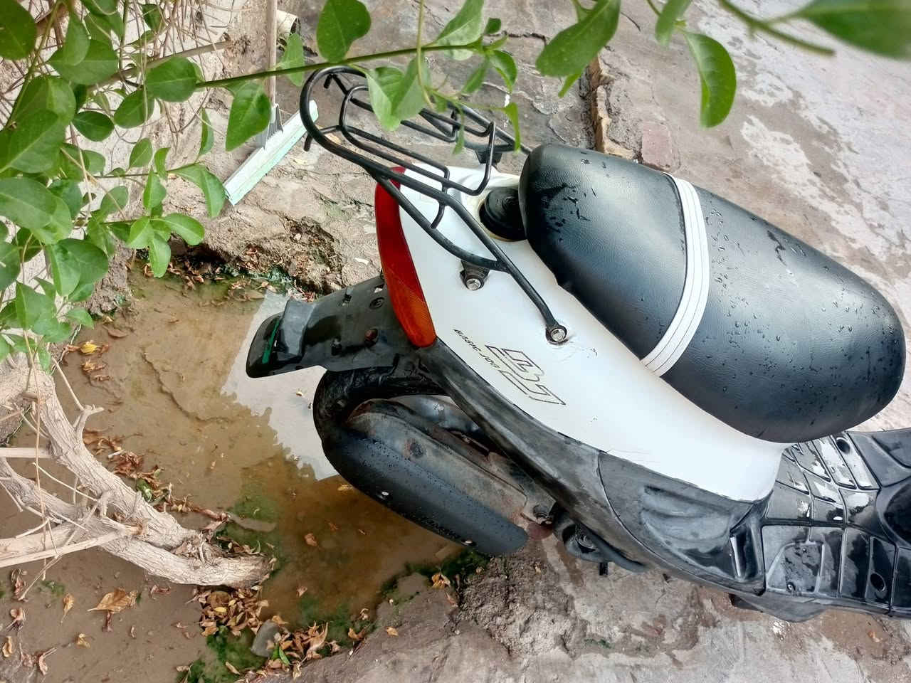 مكينة تخبل • جوزه اصلي • ستان وسطاني
