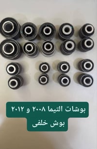 بوش التيما • بوش خلفي • ٢٠٠٨ و ٢٠١٢