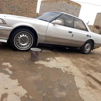 مراوس • نفخ • اسود