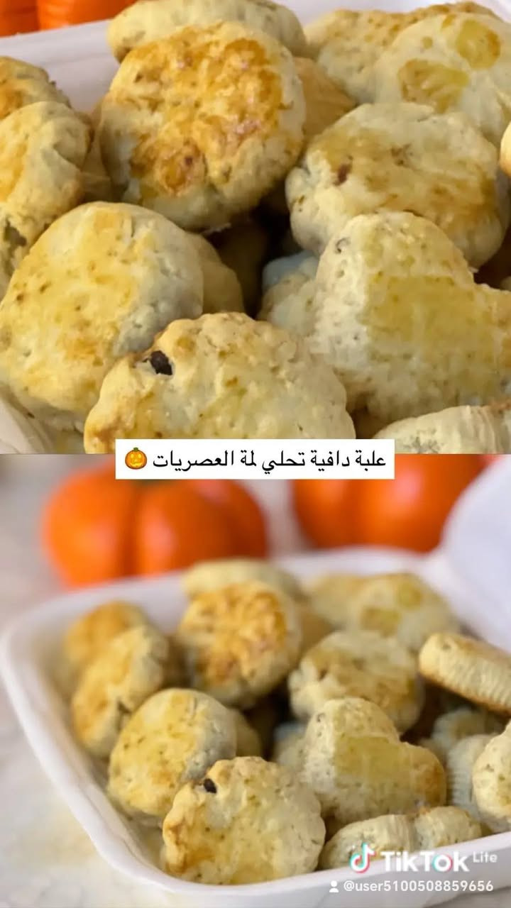 توصيل شطره • حجز مسبق • دولمه