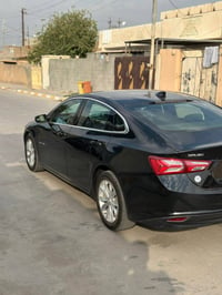 باسمي • ضرر قطعتين • ٢٠٢٢