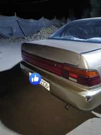 كورلا • نضيفه • نجف مشخاب