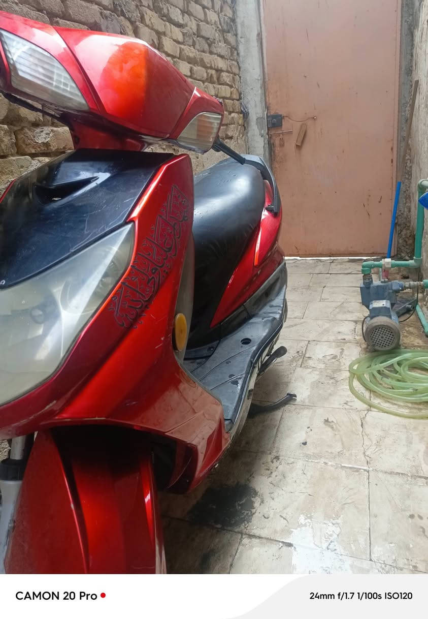 سكنس فحل • ياباني • نوزل
