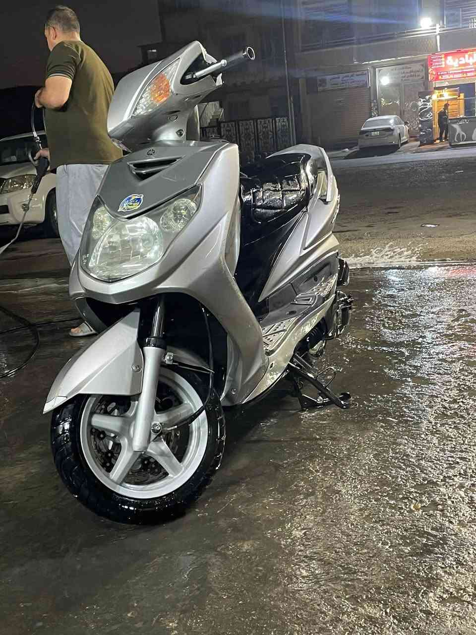 سكنس فحل • ياباني • معدل