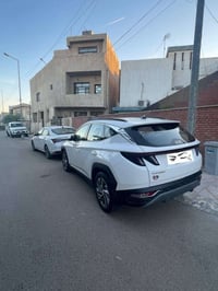 توسان ٢٠٢٤ • ٢٦٠٠٠ كم • مرقمة بغداد