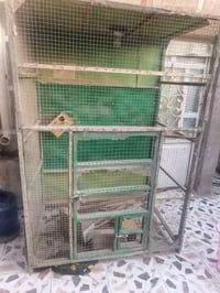 قفص بلابل • سعر مناسب • حله