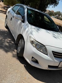 كورله خليجي • ٢٠٠٩ • رقم بغداد
