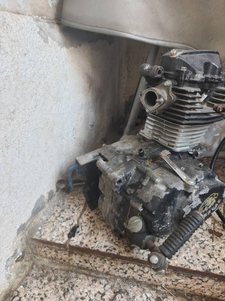 مكينة نضيفة كامت عندي قبل سبوعين وكلولي ينرادلهة تجفيت وعفتهة الي حاب يتواصل وياي *********** البصرة, العراق
