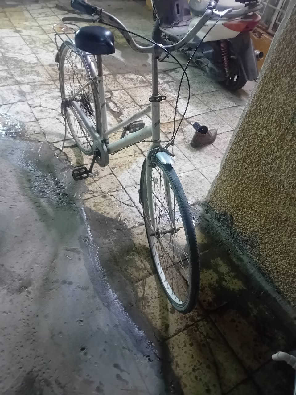 باسكل بناتي • ٢٧ • للبيع