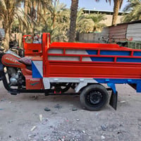 ستوته • فرس اوراق • ٢٠١٥