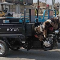 موديل ٢٣ • مكفول • فحص