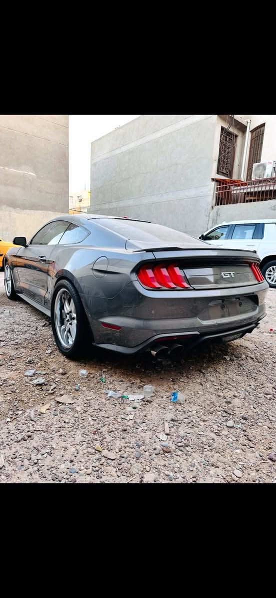 موستنك GT • ٢٠٢٣ • بدون ضربه