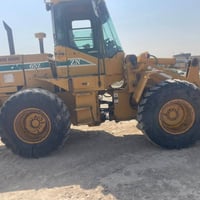 شفل كاوسكي • ١٩٩٨ • بدون صبغ