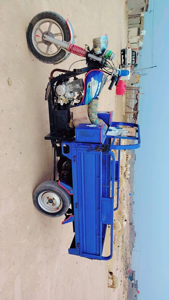 ستوته • موديل ٢٠٢٣ • مامفتوح