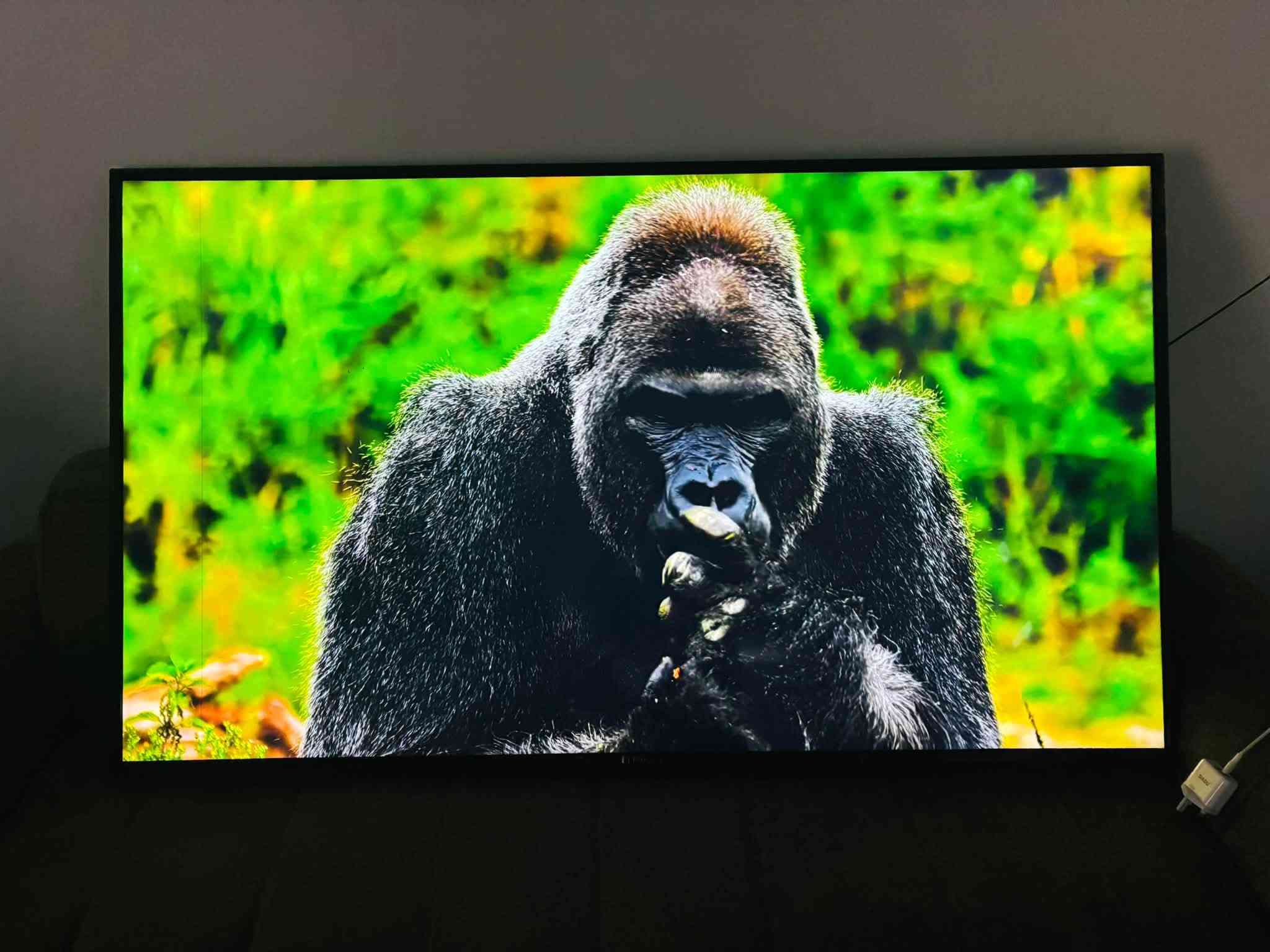 السلام عليكم بلازمه ماركه كينود حجم 65
فول مواصفات 4k انترنت كامل مواصفات اخر اصدار اندوريد

السعر 450 العنوان بغداد م الصدر 

***********

نص مكتوب في الصور:
- باجر كل خريف يموت ويهب بس ربيع حسين
- Tomorrow every autumn dies And only Hussein's spring will blow
- اوكفوله هله بكل صوب ولحد يلتهي بغيره
- Stand for him from every side And don't let anyone be distracted by anything else