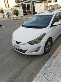 انتره • ٢٠١٦ • كربلاء