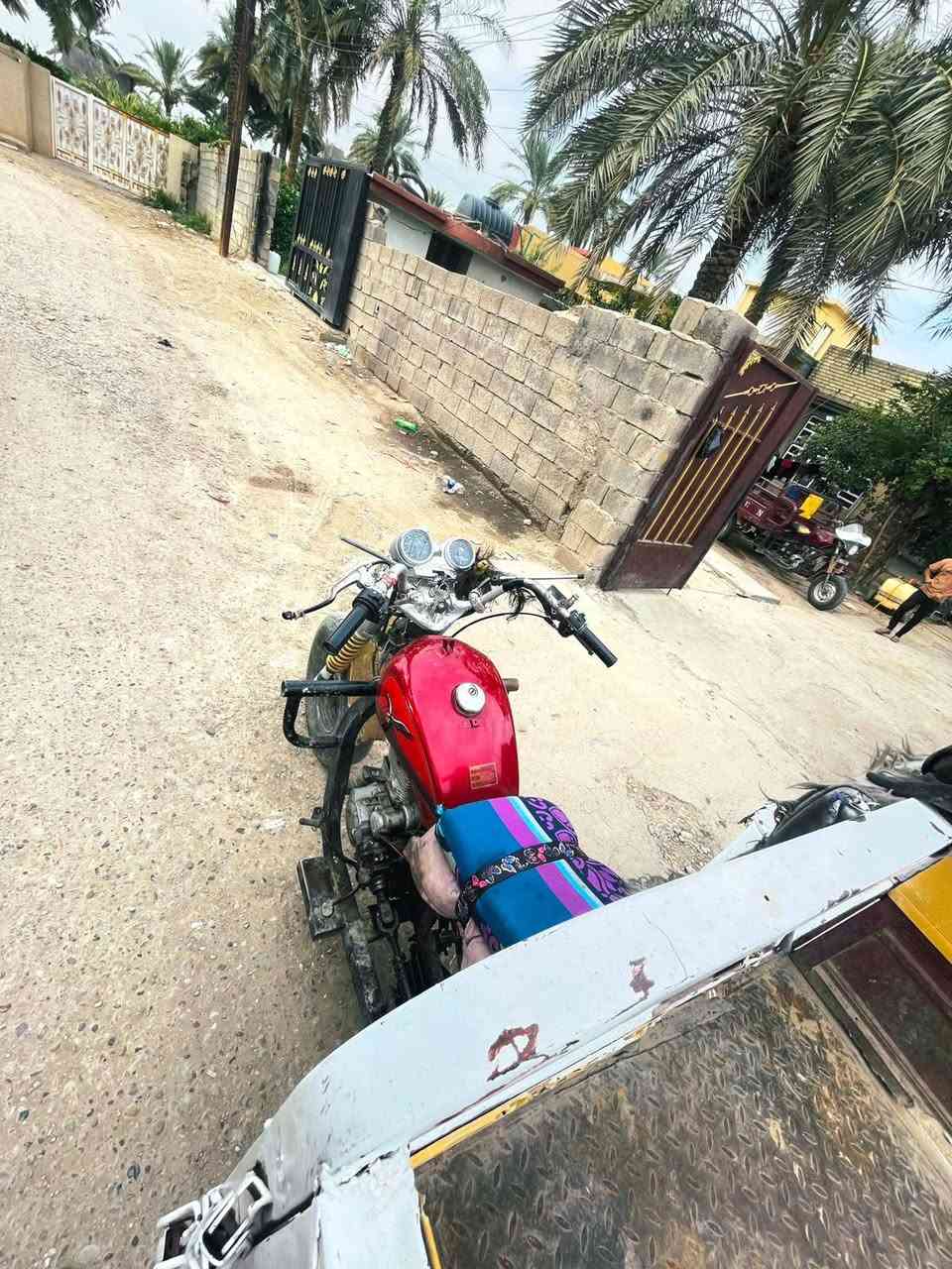 ستوته • بدون أوراق • نضيفه