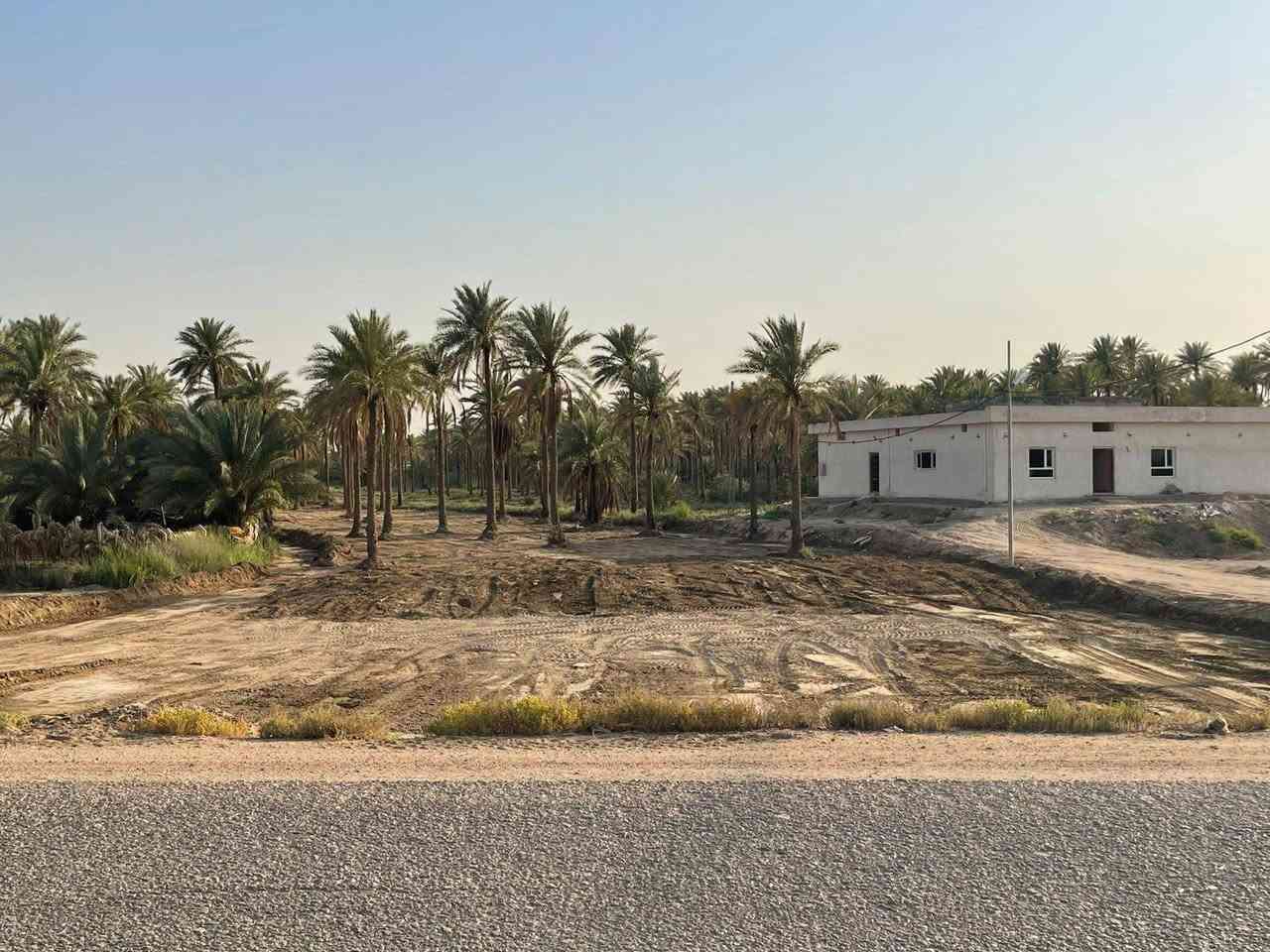 دونمين ونص • طابو زراعي • كربلاء طوريج