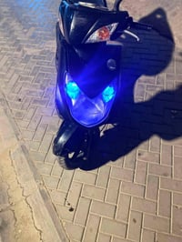 للبيع سكنس فحل كابريتر درجه نكره بكل وقت مكاني بغداد الشعب السعر ٤٥٠ و...