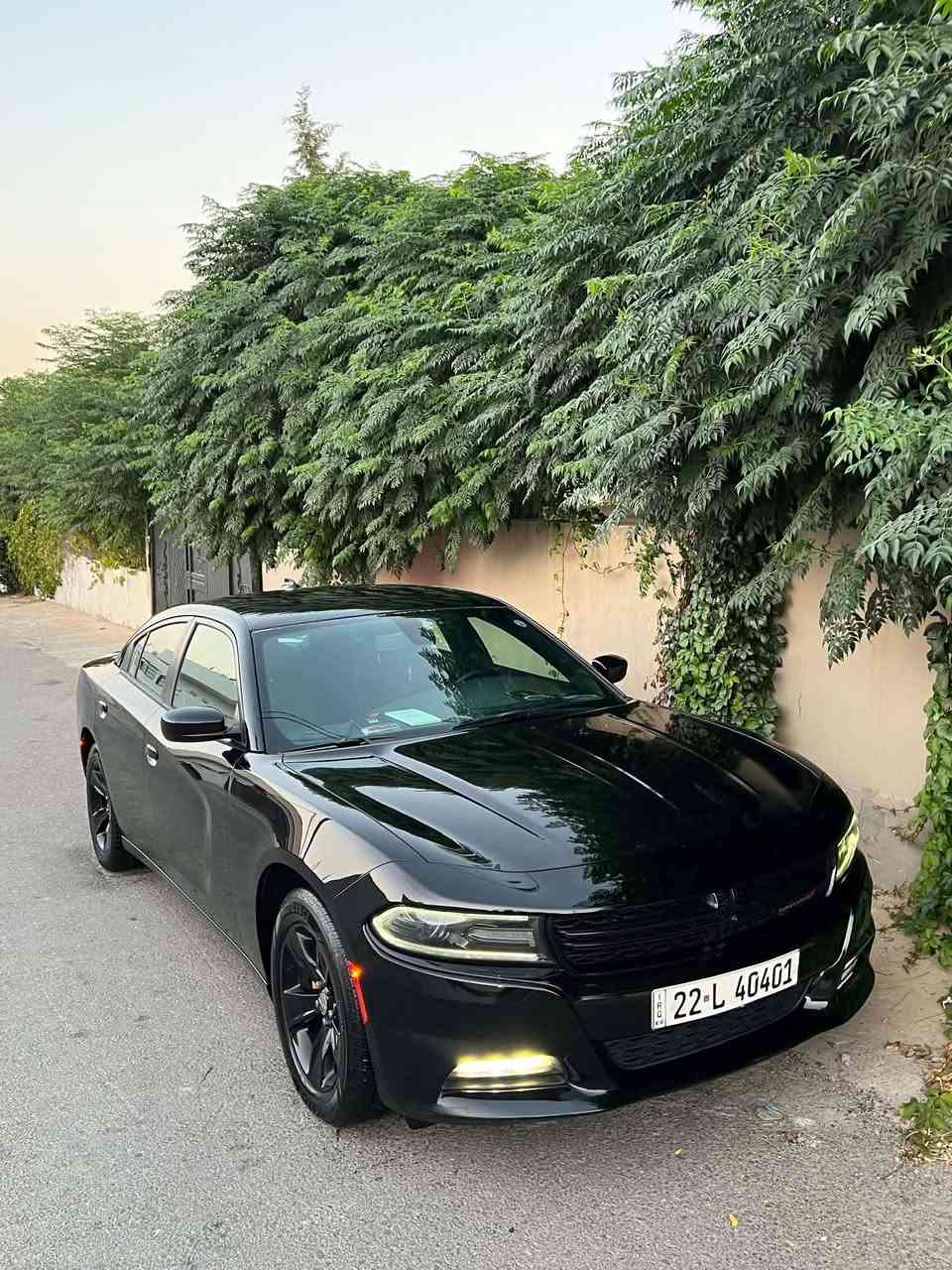 Dodge charger 2017  SXT
دوج چارجر ٢٠١٧ کلین تایتل
مواسەفات sxt
شاشەگەورە
بەصمە
شەخال
دەرگا بەصمە
کوشن کارەبا
حاسە
کامیرا
گێڕو مە کینەی بەشەرت نەکراوەتەوە
بێ بۆیاخو بێ ساردو بێ پارچە گۆڕانە تەنانەت دەعمیەکانیشی بە شەرت بۆیاخی نیە
هەموو گیانی بە شەرت
لە سەر دەقی شەریکە ماوە
دەعمی بۆ دەعمی بە شەرت
شوین سلیمانی 
***********
