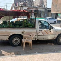 بيكم • ١٩٩١ • رقم نكليزي