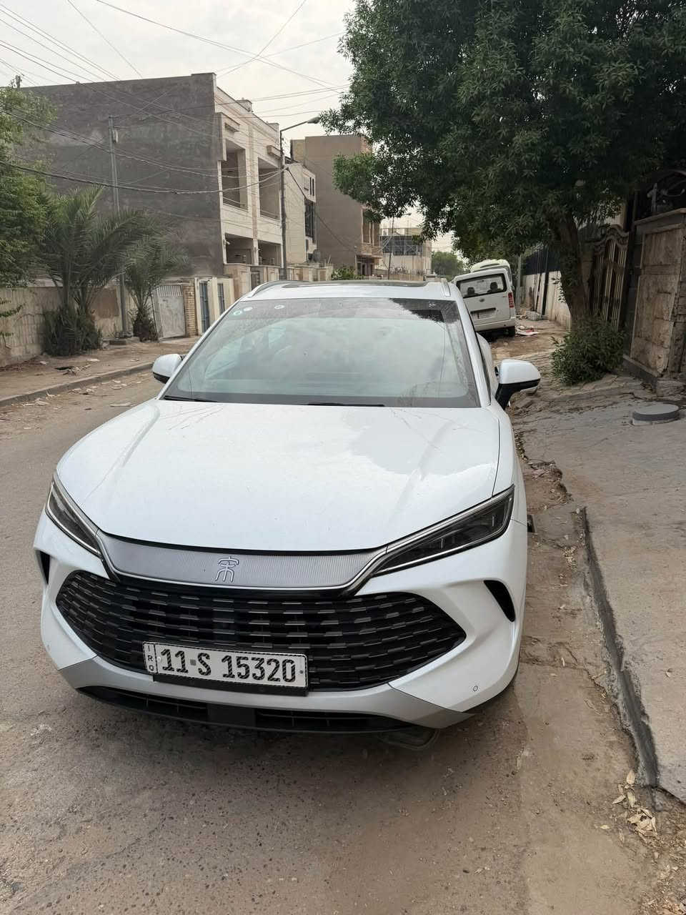 سونك ال • ٢٠٢٥ • بدون صبغ