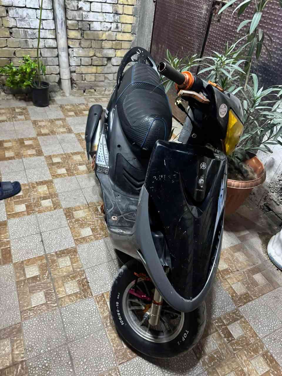 ماكس عدلة • سيت مشمش • ٥٥