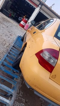 طيبه • ٢٠١٥ • بدون صبغ