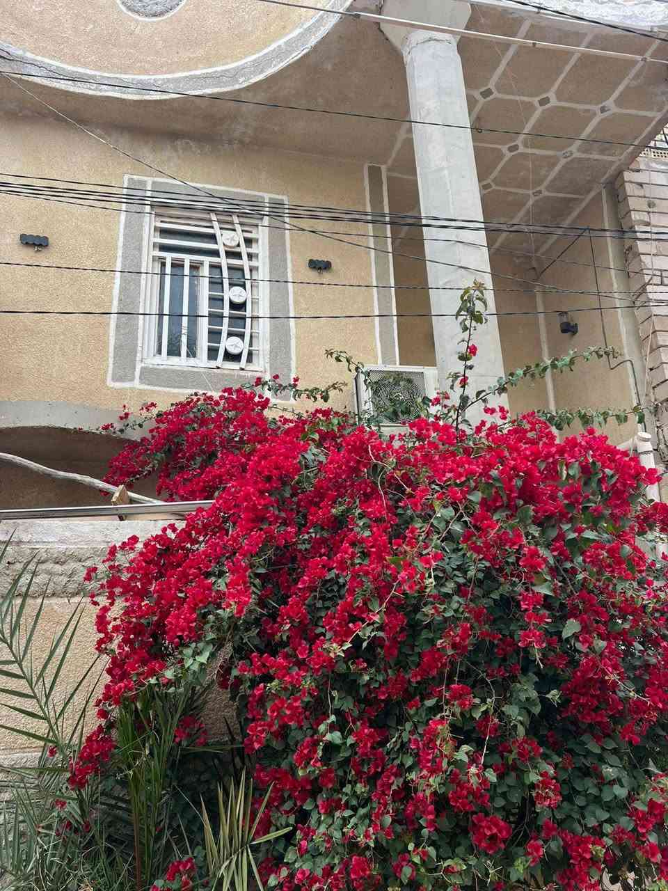 السلام عليكم
بيع مستعجل وبسعر مناسب جدا 
بيت مساحة 100 متر طابقين
كونكريت مسلح وبناء بلوك العتبة درجة اولى
الطابق الاول طرمة صحيات واستقبال ومطبخ وصالة وغرفة وحمام ومنور
الطابق الثاني صاله وغرفة وحمام وسطح بالاضافة الى السطح الثاني
كافة الخدمات موجودة تبليط ومدارس ومركز صحي مركز شرطة الدفاع المدني وكهرباء وماي يصعد للسطح بدون ماطور 
ماعدا المجاري لحد الان ما مسوينها
الموقع كربلاء المقدسة بداية شارع بني تميم خلف دائرة البطاقة الوطنية وخلف مدينة الزائرين الي مقابل جامعة كربلاء قريب جدا من طريق الزوار ويصلح حسينية او للسكن 
سند 35 مكاتبة مباشرة مع صاحب الدار
ملاحظة الدار يحتاج بعض الترميم من الداخل وينزل المبلغ من سعر البيت
سعر الدار 80 مليون
للتواصل خاص او اتصال على الرقم ومتوفر واتساب
***********
