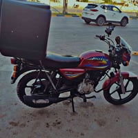 بوكسر كلاسيك • اوراق اصولي • متعوب عليه