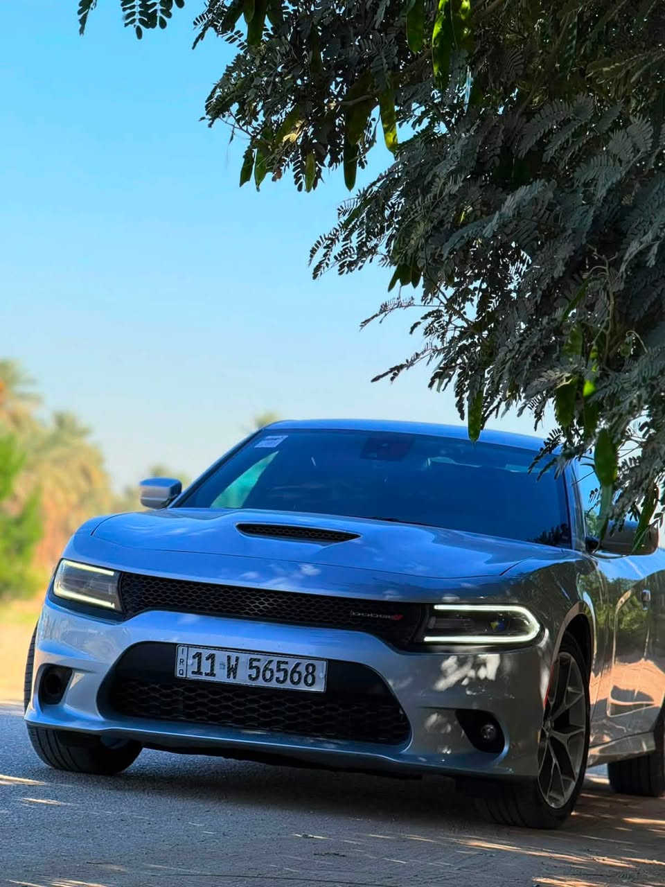 السلام عليكم
جارجر GT موديل 2021

رقم بغداد مشروع وطني 

مواصفات

كشن حضن GT

تشغيل عن بعد 

شاشة جبيره

كامره

صدر امامي خلفي كله جديد 

مابيه اي نقص 

صور حادثه موجوده بل منشور  

المكان بابل 

السعر ٢١٥ وبيه مجال بسيط 

للاستفسار ***********
