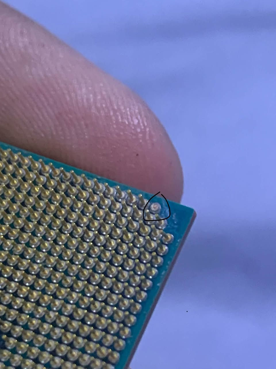 r5 3400g • كرت 1030 • بنات معوجات