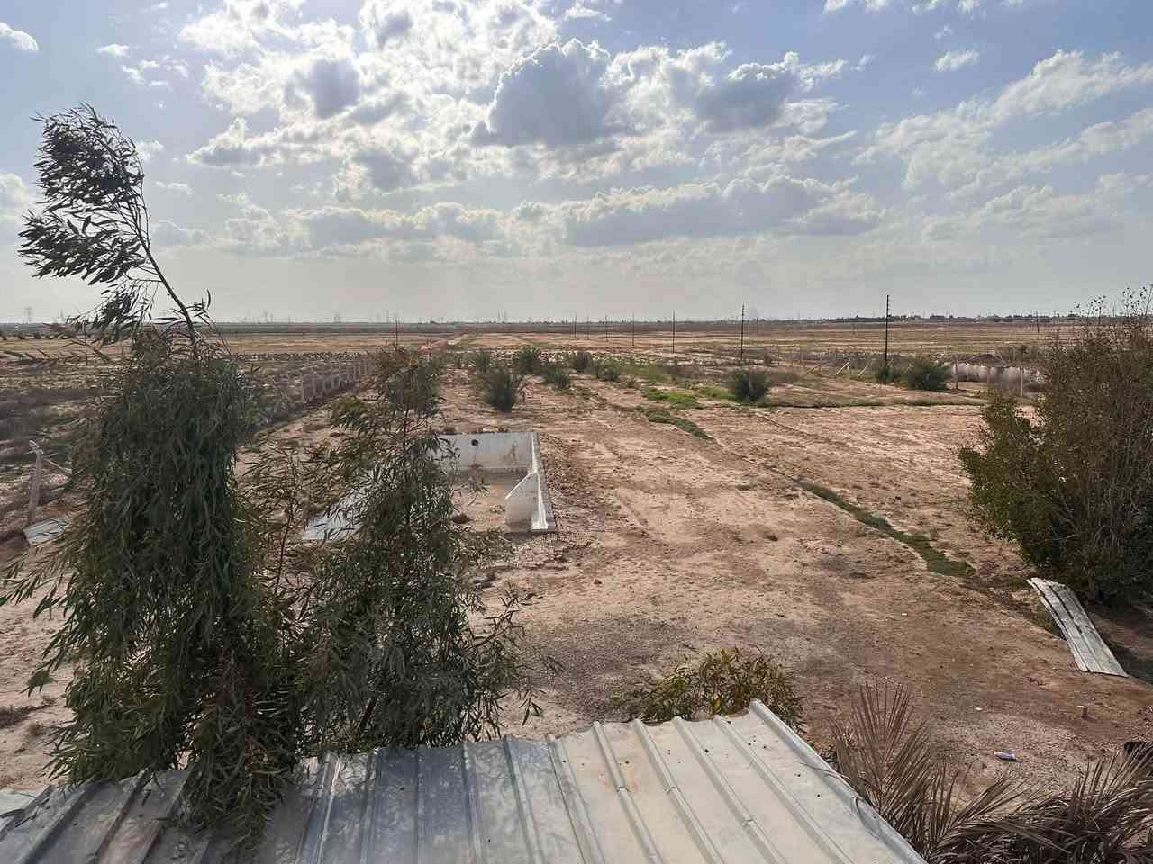 لا توجد تفاصيل
